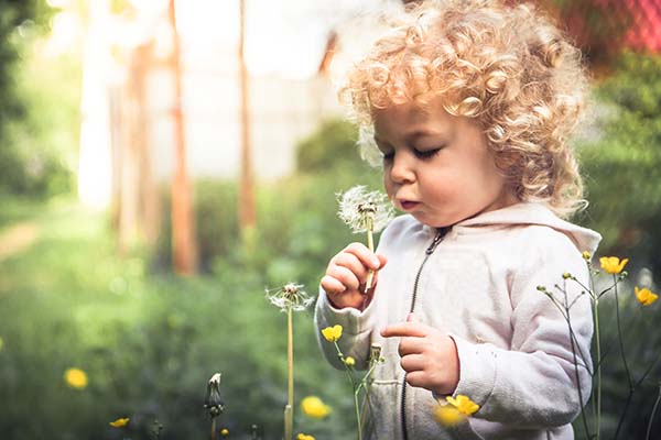 Kind mit Pusteblume